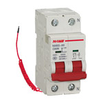 N9BS-80小型斷路器